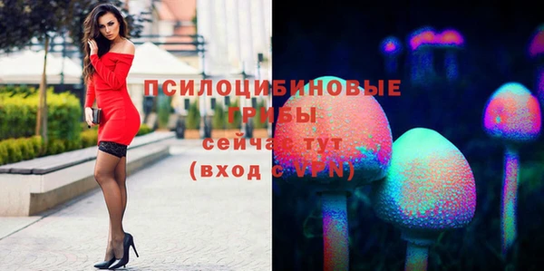 не бодяженный Богданович
