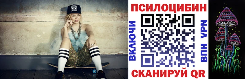 Псилоцибиновые грибы GOLDEN TEACHER Киселёвск