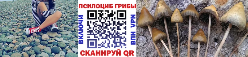 Псилоцибиновые грибы мухоморы Киселёвск