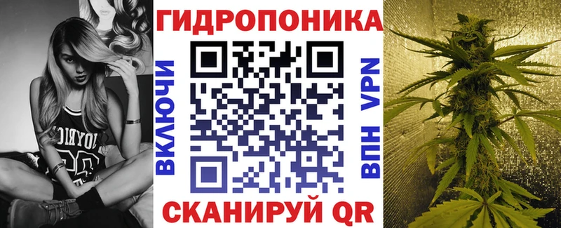 Бошки Шишки тримм  дарк нет состав  Киселёвск  магазин продажи  